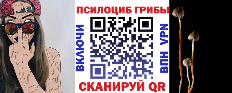 Купить  Игра  Галлюциногенные грибы прущие грибы 